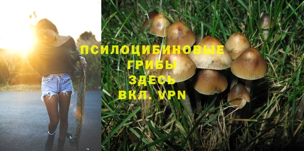 метамфетамин Гусев