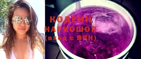 гидра Туринск